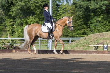 Bild 4 - Pony Akademie Turnier